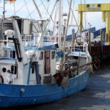 1406F 148 Halbinsel Nordstrand